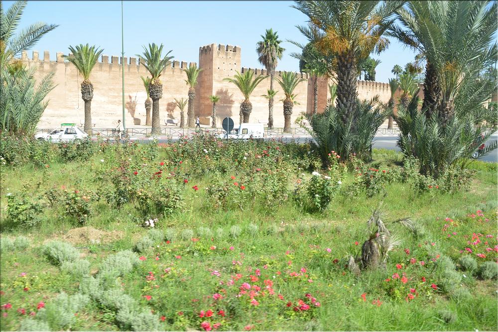 taroudant (9)