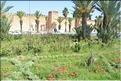 taroudant (9)