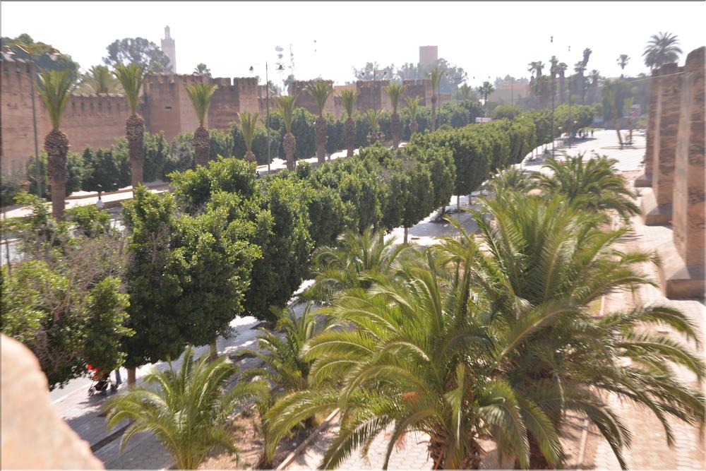 taroudant (12)