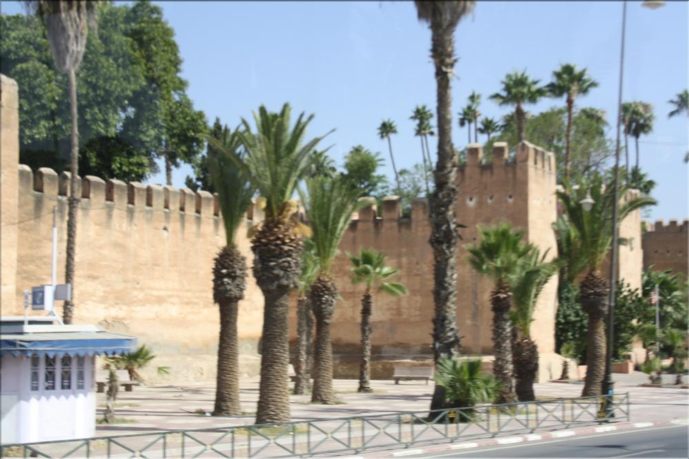taroudant (15)