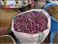 taroudant (30)
