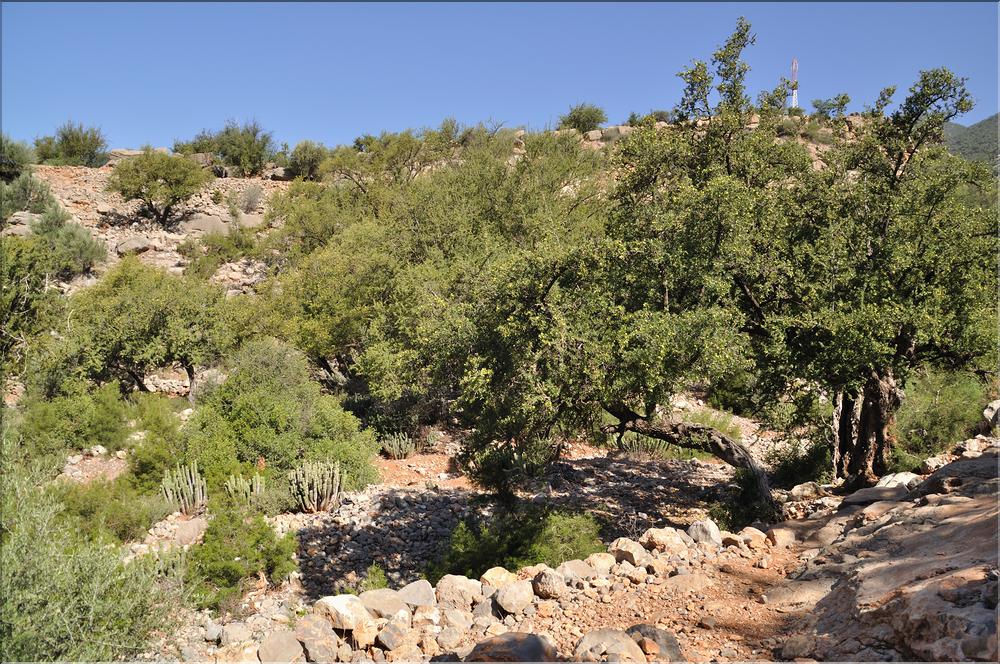 vallee du paradis (29)