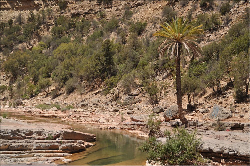vallee du paradis (72)