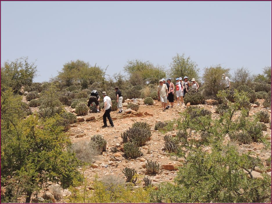22mai12_repas_a_l_oasis (17).JPG
