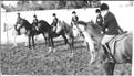 equitation M.BOUDIERES