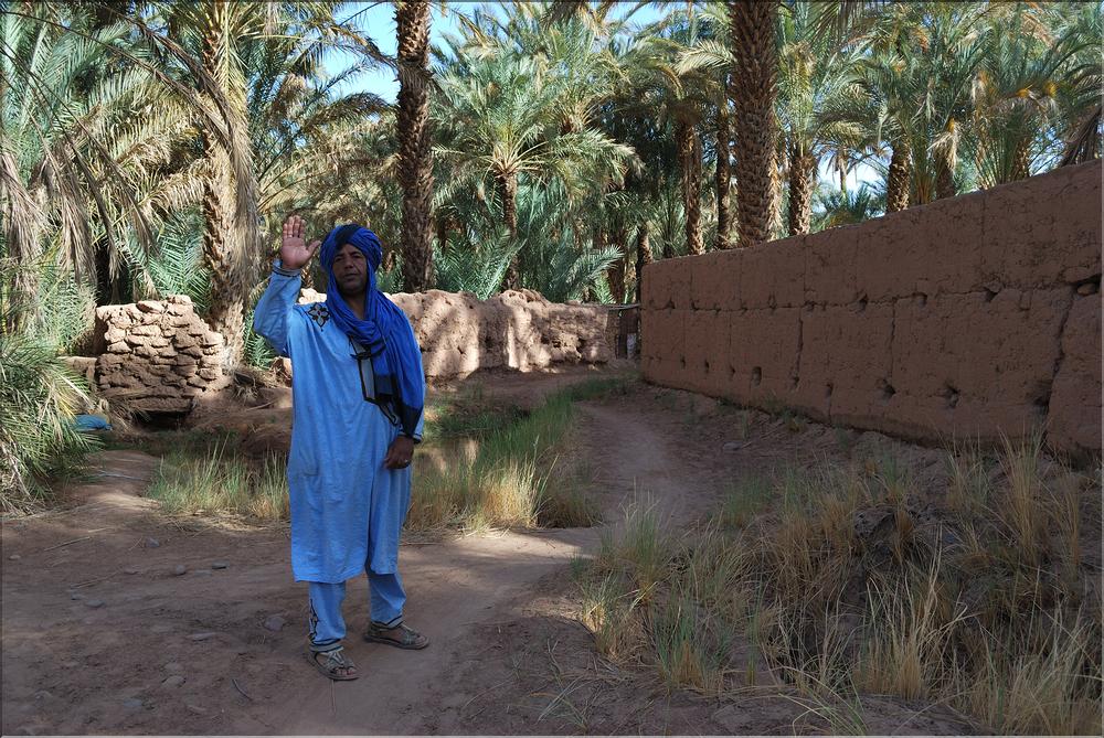 palmerraie Zagora (1)