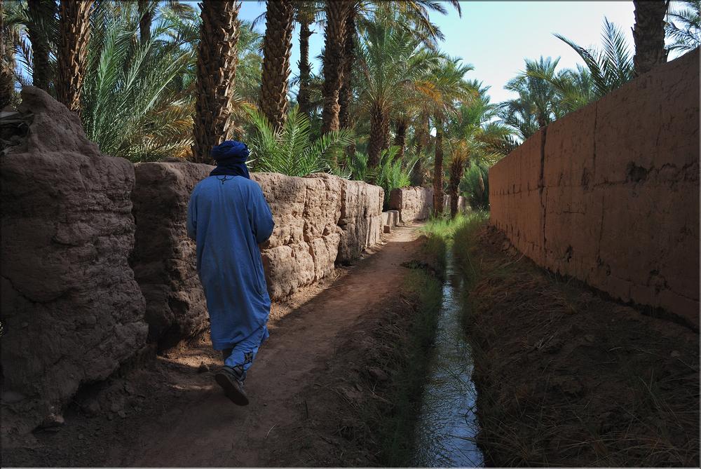 palmerraie Zagora (2)