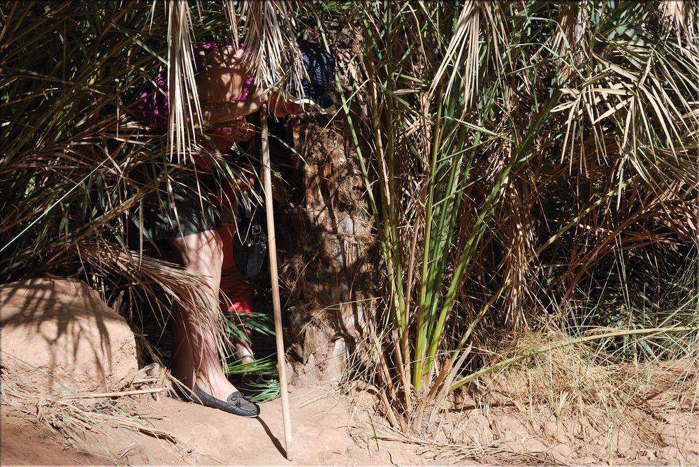 palmerraie Zagora (7)