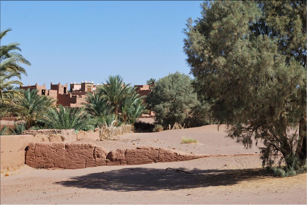 palmerraie Zagora (22)
