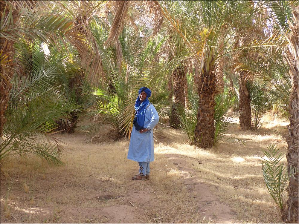 palmerraie Zagora (38)