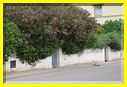 20mai12_nos_maisons (3).JPG
