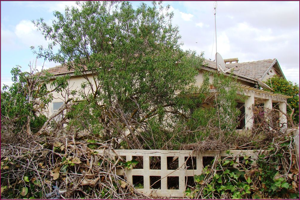 20mai12_nos_maisons (9).JPG