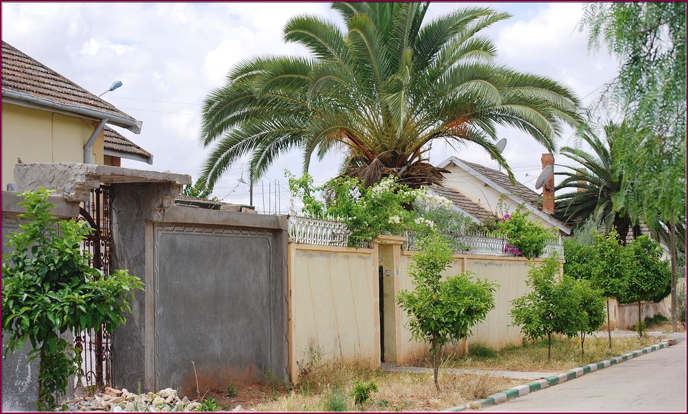 20mai12_nos_maisons (19).JPG