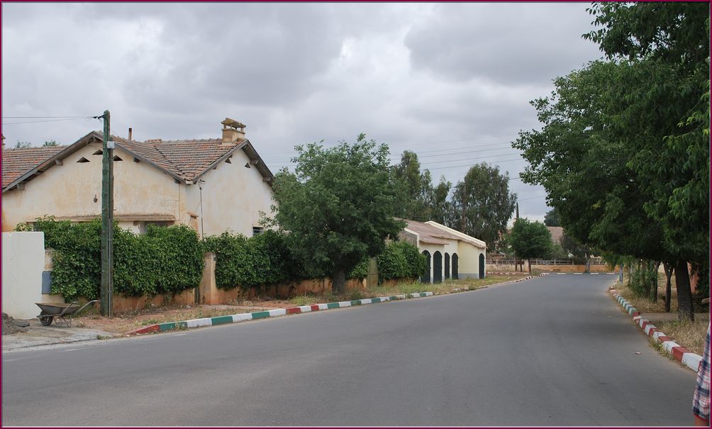 20mai12_nos_maisons (26).JPG