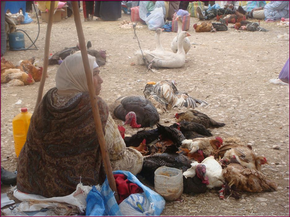 20mai12Souk (36).JPG