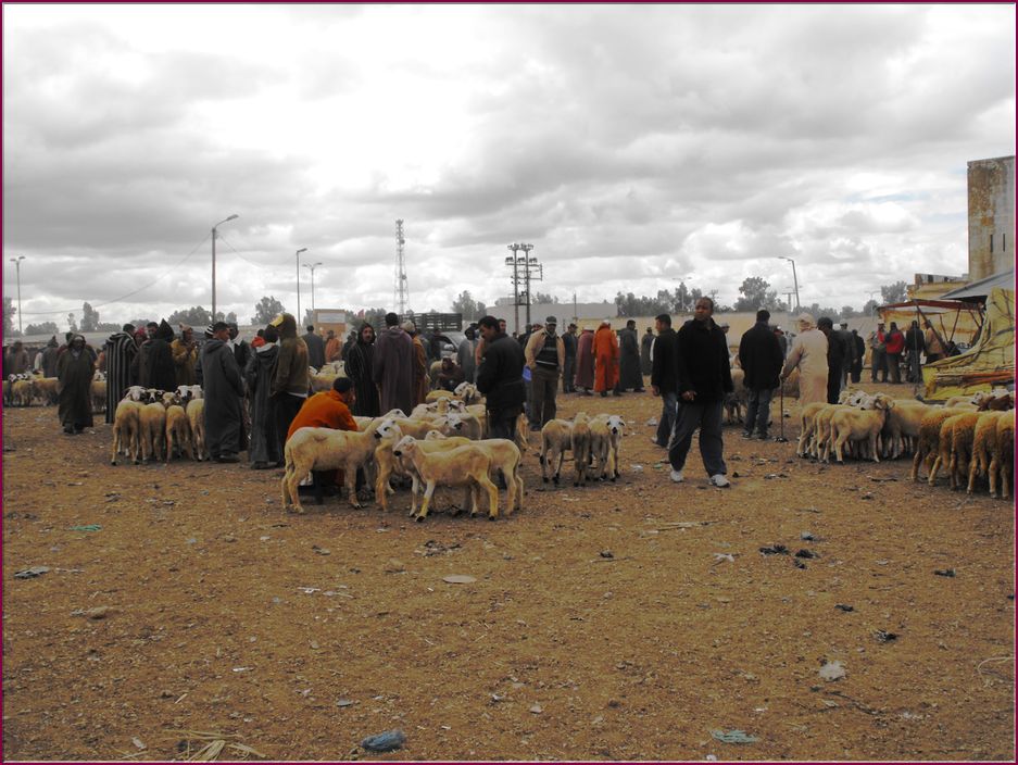 20mai12Souk (42).JPG