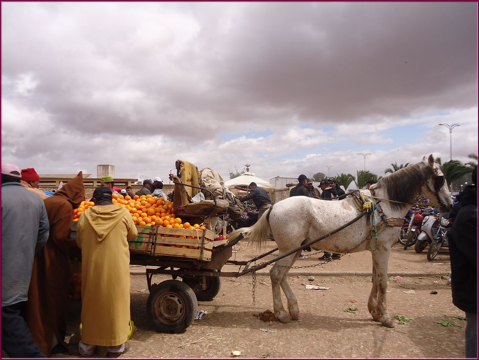 20mai12Souk (49).JPG