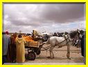 20mai12Souk (49).JPG