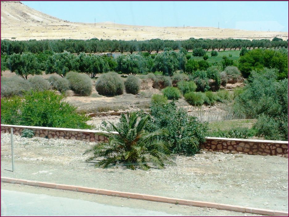 21mai12_paysages vers Agadir (13).JPG