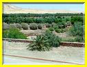 21mai12_paysages vers Agadir (13).JPG