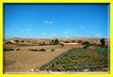 21mai12_paysages vers Agadir (16).JPG