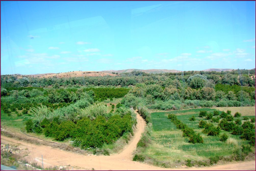 21mai12_paysages vers Agadir (18).JPG