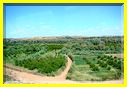 21mai12_paysages vers Agadir (18).JPG