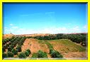 21mai12_paysages vers Agadir (19).JPG