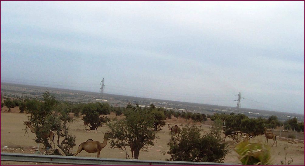 21mai12_paysages vers Agadir (24).JPG