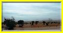 21mai12_paysages vers Agadir (25).JPG