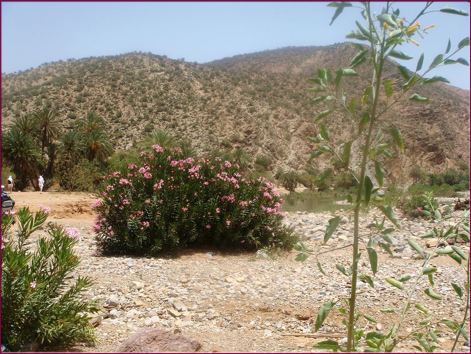 22mai12_repas_a_l_oasis (8).JPG