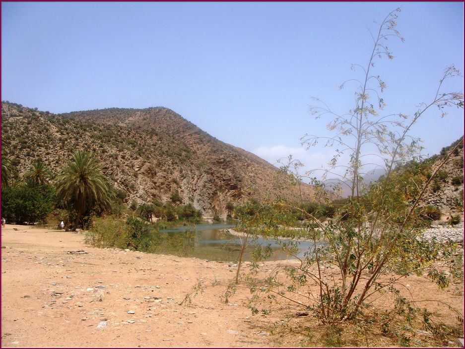 22mai12_repas_a_l_oasis (9).JPG