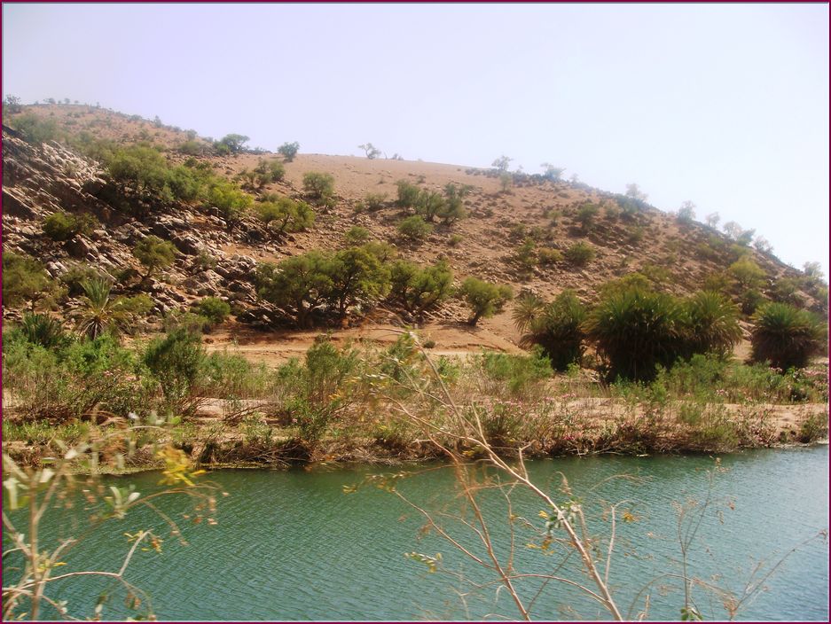 22mai12_repas_a_l_oasis (10).JPG