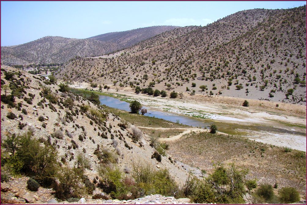 22mai12_repas_a_l_oasis (11).JPG