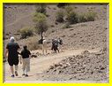 22mai12_repas_a_l_oasis (18).JPG