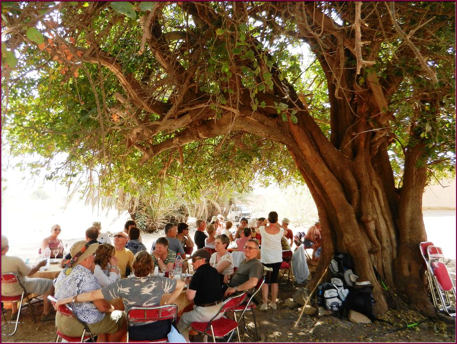 22mai12_repas_a_l_oasis (45).JPG