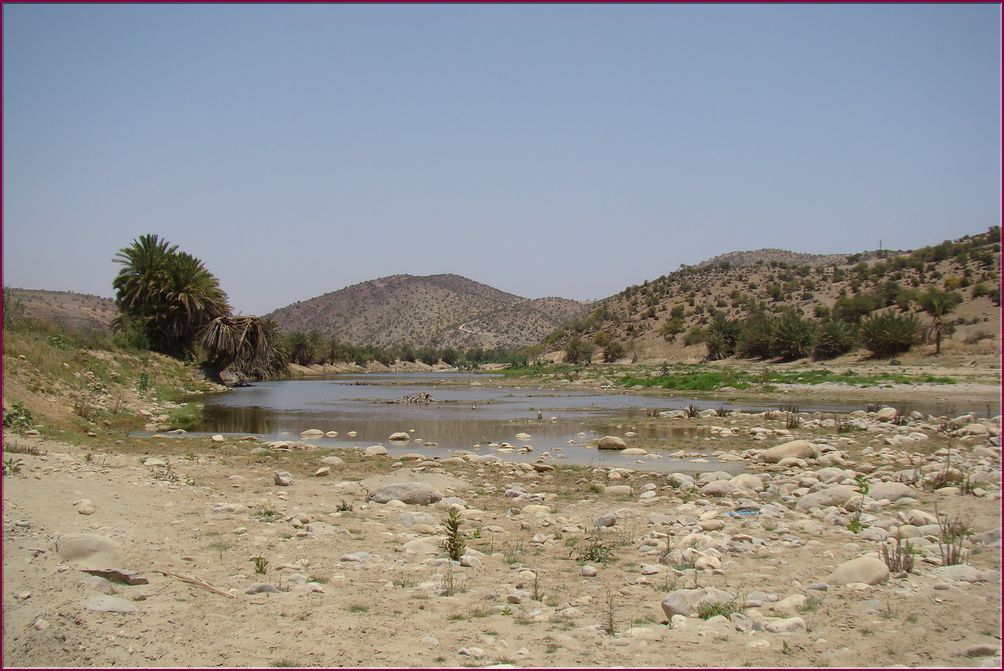 22mai12_repas_a_l_oasis (68).JPG