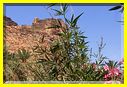 24mai12l_autre_agadir (6).JPG