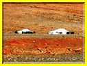 24mai12paysages (10).JPG
