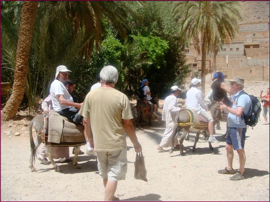 24mai12promenade _sur_un_ane (1).JPG