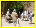 24mai12promenade _sur_un_ane (1).JPG