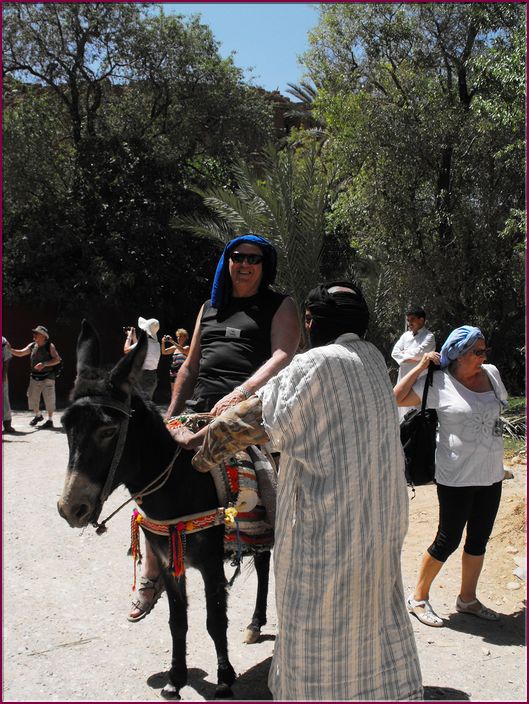 24mai12promenade _sur_un_ane (9).JPG