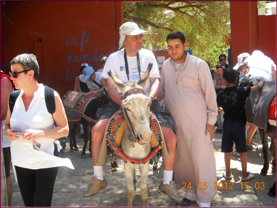 24mai12promenade _sur_un_ane (13).JPG